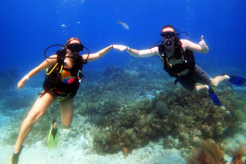 Cancun: 2-Tank Dive for Beginners with MUSA and Reef Dive