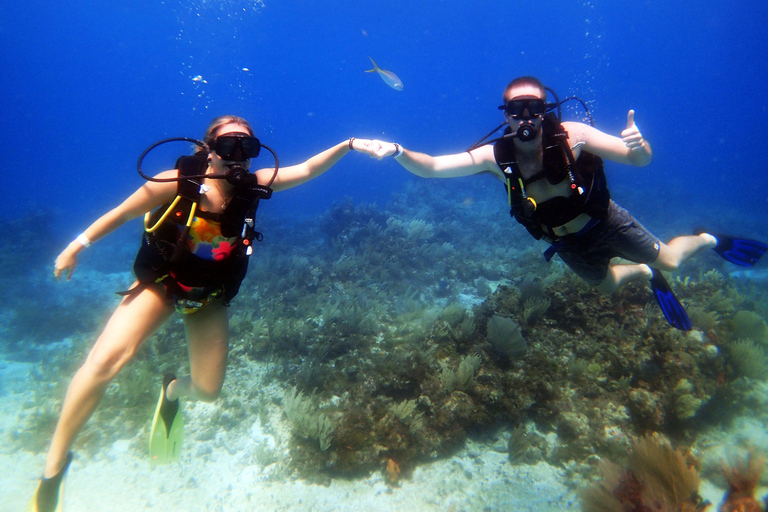 Cancun: 2-Tank Dive for Beginners with MUSA and Reef Dive