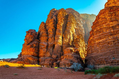 Depuis Amman: excursion d'une journée à Petra et au Wadi Rum avec prise en charge à l'hôtel