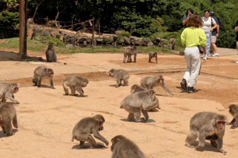 Tokyo: 7-Day Japan Highlights Private Guided Tour