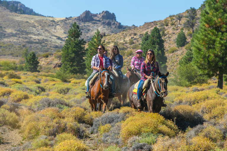 Patagonian Experience – Horseback Riding & Traditional Asado My Patagonian Experience – Horseback Riding & Traditional Asado