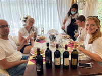 From San Gimignano, Half-Day Chianti Wine tour - Housity