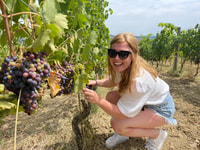 From San Gimignano, Half-Day Chianti Wine tour - Housity