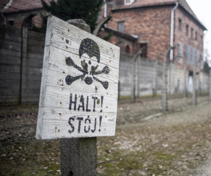 Auschwitz-Birkenau Full-Day Tour from Lodz by Private Car