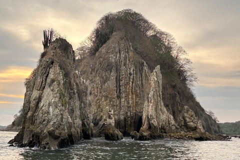 Bioluminescence, sunset, and wildlife sightseeing tour from Puntarenas
