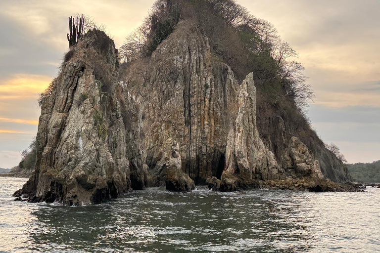 Bioluminescence, sunset, and wildlife sightseeing tour from Puntarenas