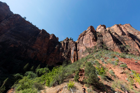 Vallée de Feu et parc national de Zion : visite d'une journée