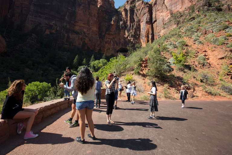 Las Vegas: Valley of Fire och Zion National Park 1-dagsturEldens dal och Zion National Park: 1-dagars rundtur