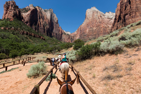 Vallée de Feu et parc national de Zion : visite d'une journée