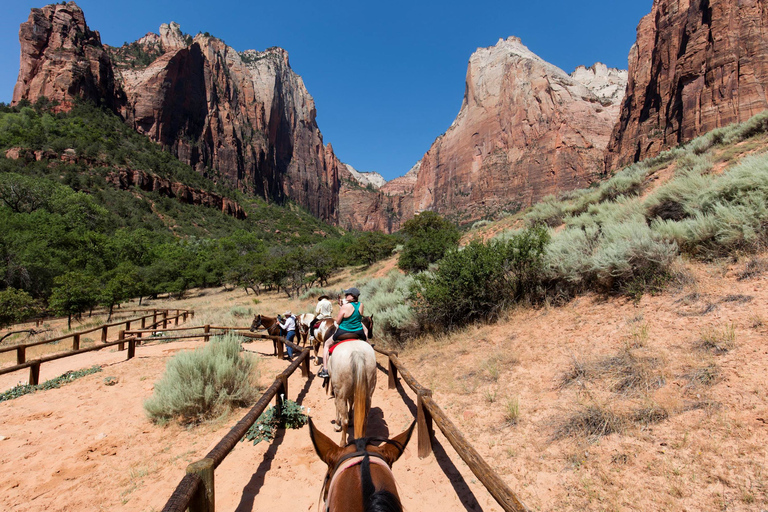 Vallée de Feu et parc national de Zion : visite d'une journée