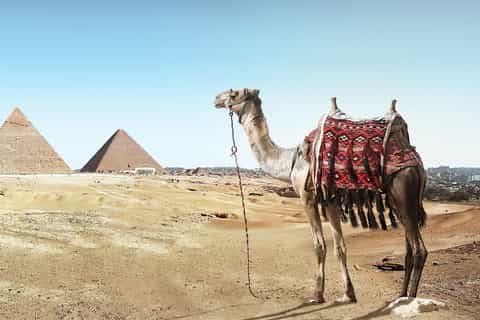 From Sharm: 2-Day Cairo and Alexandria Tour with Nile Cruise