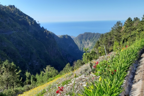 Madeira: Nun's Valley Private Tour Tour with Pickup from North West Madeira