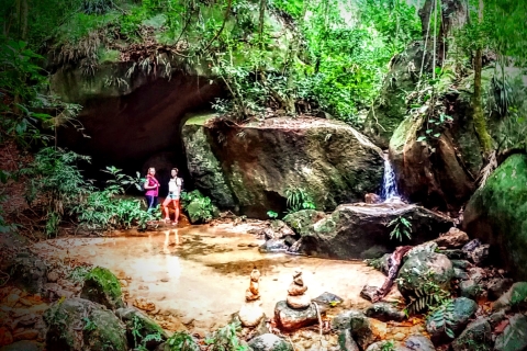 Bosque de Tijuca: caminata de medio día de aventura e historiaCaminata de medio día por el bosque de Tijuca: aventura e historia (privado)
