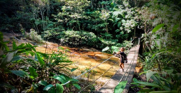 Rio: Tijuca Forest Small Group Hike to Caves and Waterfalls