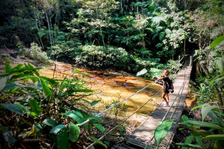 Tijuca Forest: Halbtageswanderung mit Abenteuer & GeschichteHalber Tag Tijuca Forest: Abenteuer & Geschichte (kleine Gruppe)