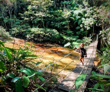 Tijuca Forest: Adventure & History Half-Day Hike