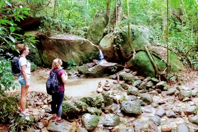 Tijuca Forest: Adventure & History Half-Day Hike Tijuca Forest Half-Day: Adventure & History (Small Group)