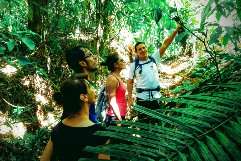 Tijuca Forest: Halbtageswanderung mit Abenteuer & GeschichteHalber Tag Tijuca Forest: Abenteuer & Geschichte (kleine Gruppe)