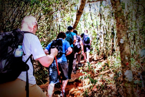 Tijuca Forest: półdniowa wycieczka przygoda i historiaTijuca Forest Half-Day: Adventure & History (mała grupa)