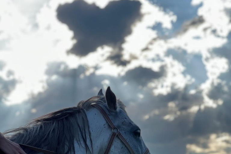 Horseback riding in Dilijan