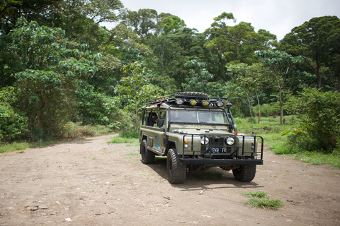 Norte de Bali: excursión guiada de un día en 4x4, ciclismo y aguas termales