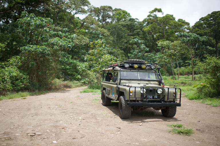 Norte de Bali: excursión guiada de un día en 4x4, ciclismo y aguas termales