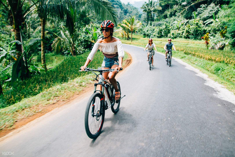 Norte de Bali: excursión guiada de un día en 4x4, ciclismo y aguas termales