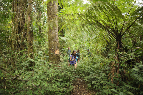 Bali: Bayad Eco-wandeling van een halve dagTrektocht van een halve dag met pick-up in de middag