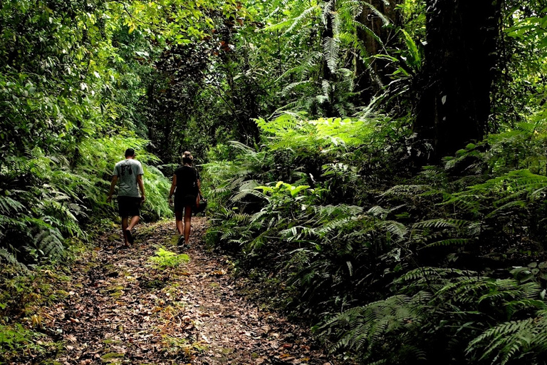 Bali: Halbtägige Bayad Öko-WanderungHalbtägige Wanderung mit Abholung am Nachmittag