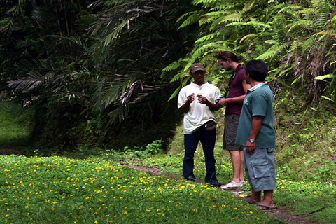 Bali: Half-Day Bayad Eco Hike Half-Day Trek with Afternoon Pickup