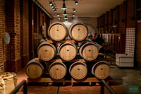 De Torino, experiencia privada Martini - Hizvo