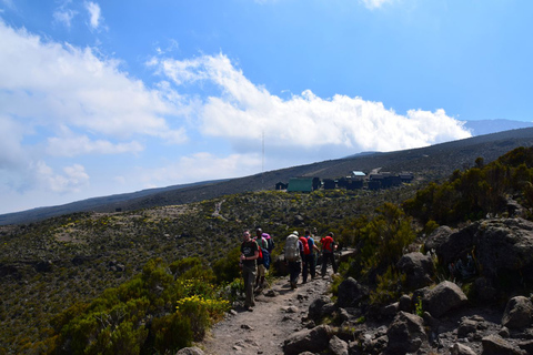 Kilimanjaro: De la meseta de Shira al punto de la Catedral 3872m Día de excursión