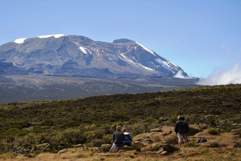 Kilimanjaro: De la meseta de Shira al punto de la Catedral 3872m Día de excursión