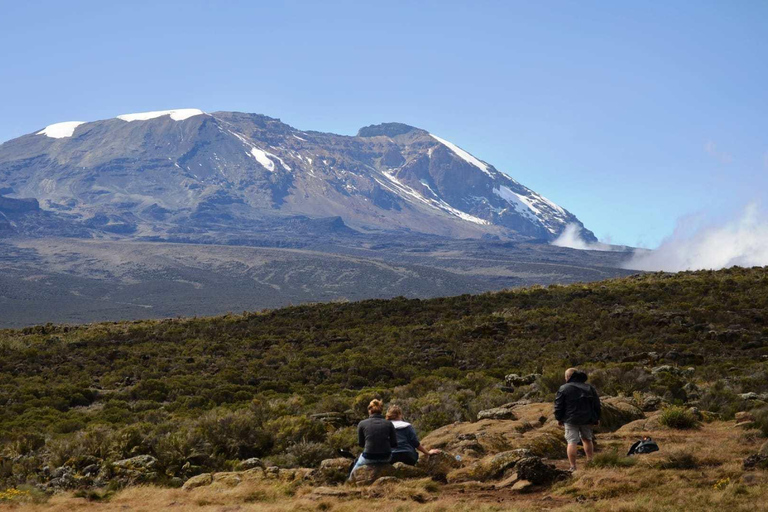 Kilimanjaro: De la meseta de Shira al punto de la Catedral 3872m Día de excursión