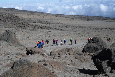 Kilimanjaro: De la meseta de Shira al punto de la Catedral 3872m Día de excursión
