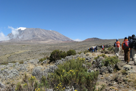 Kilimanjaro: De la meseta de Shira al punto de la Catedral 3872m Día de excursión
