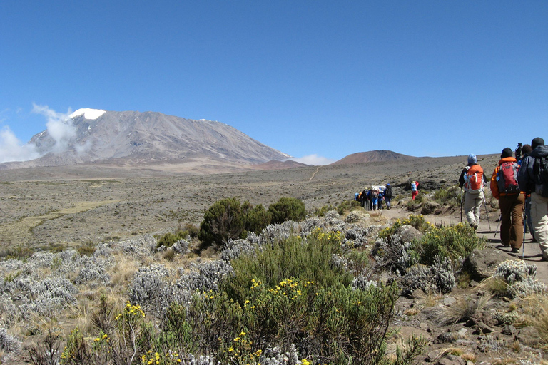 Kilimanjaro: De la meseta de Shira al punto de la Catedral 3872m Día de excursión