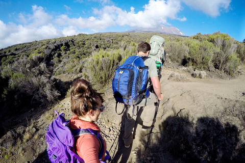 Kilimanjaro: De la meseta de Shira al punto de la Catedral 3872m Día de excursión