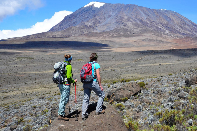 Kilimanjaro: De la meseta de Shira al punto de la Catedral 3872m Día de excursión