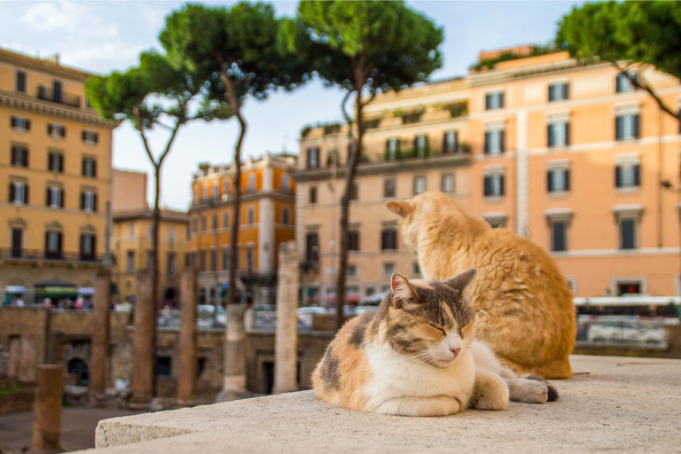 Rome: begeleide wandeling door tempels, pleinen en markten