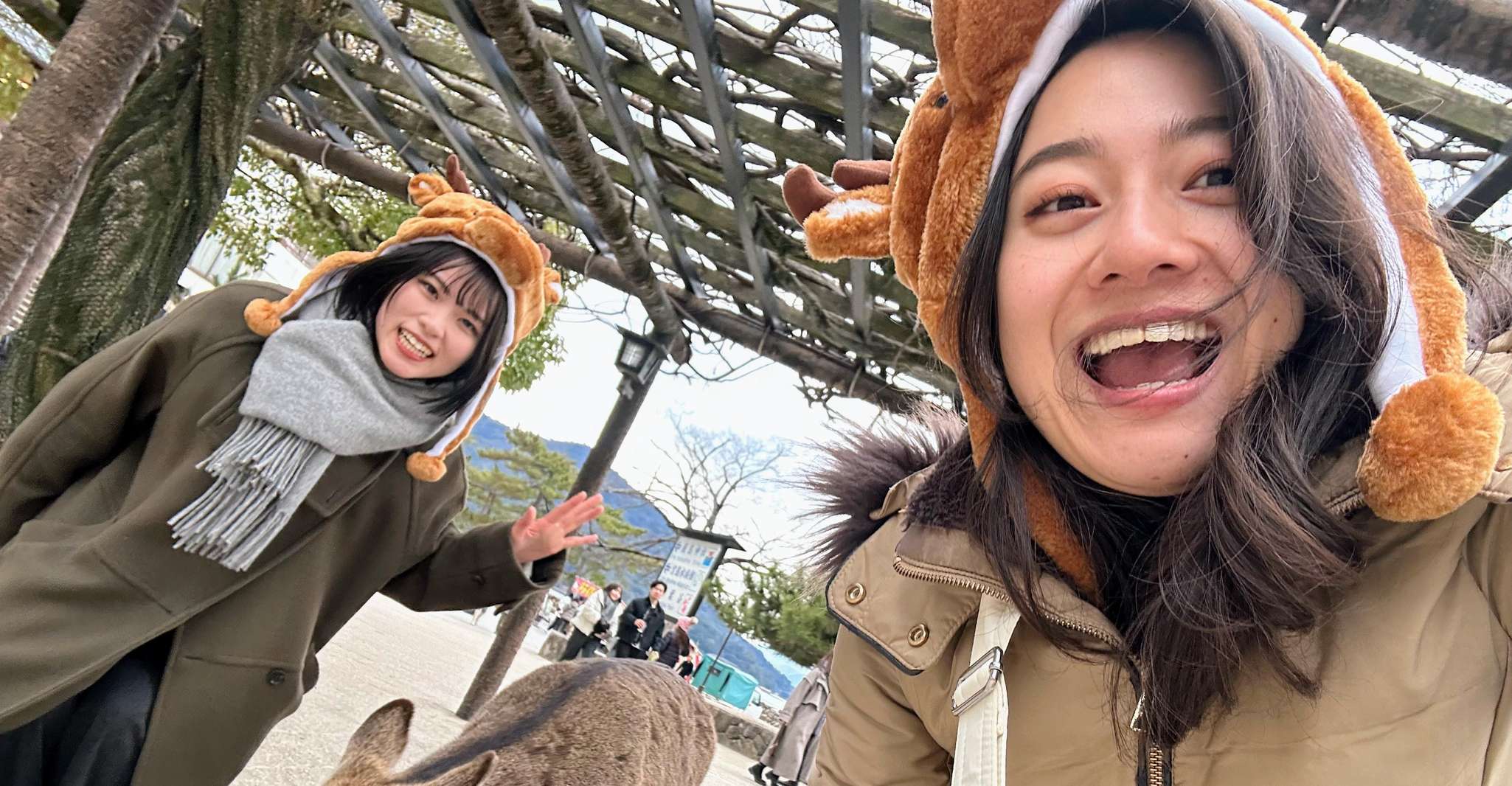 Hiroshima: Hiroshima and Miyajima UNESCO Sites 1-Day Tour photo 8