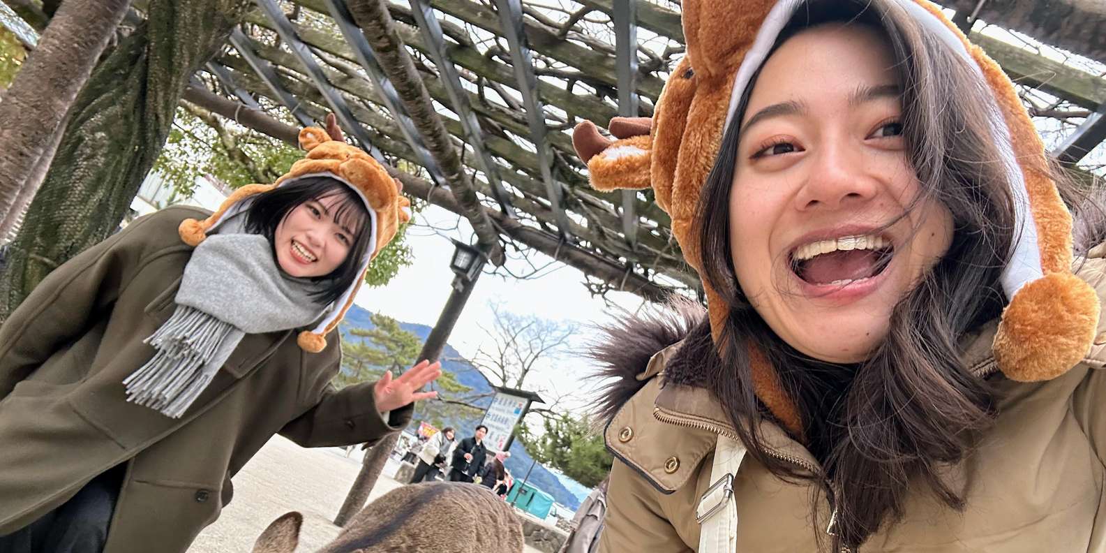 Hiroshima Miyajima tour — Peace Memorial and Miyajima Island — image 7