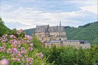 Luxembourg, Vianden Castle Entry Ticket - Housity