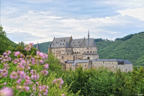 Vianden : billet coupe-file pour le château de ViandenOption standard