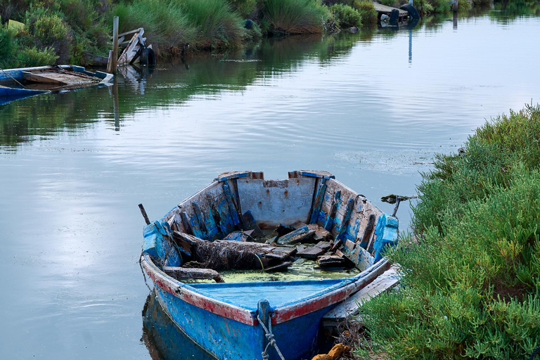 Barcelona: Tuna Baths in the Ebro Delta Route and Olive Tree Tour