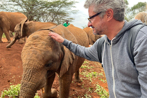 Nairobi: Wycieczka do sierocińca słoni i centrum żyrafSierociniec dla słoni i centrum żyraf z opłatami za wstęp