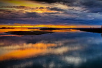 From Anchorage, Wilderness, Wildlife, & Glacier Experience - Housity