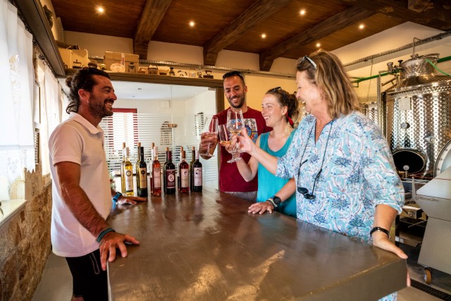 Visit Rhodes Cooking Lesson and Wine Tasting with Lunch in Rhodes Town