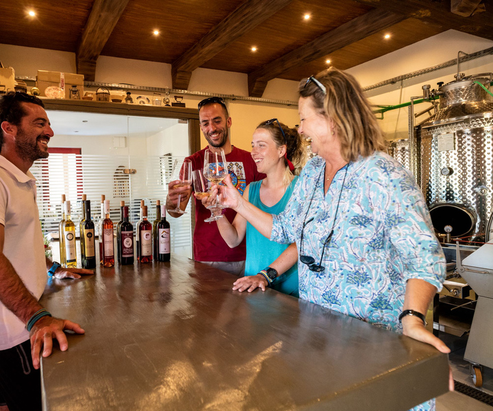 Rhodes: Cooking Lesson and Wine Tasting with Lunch