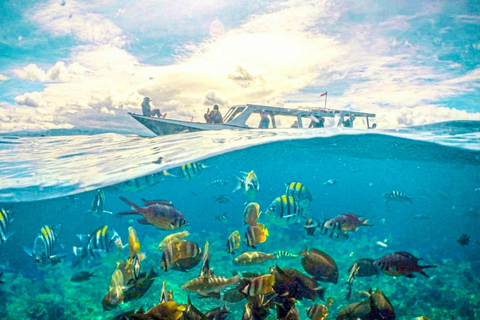 Lombok: Private Snorkeling,Gili Trawangan,Gili Meno,Gili Air Start From: Tetebatu/Lembar Port/Gili Mas Port